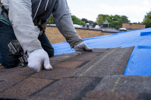 Best New Roof Installation  in Vevay, IN