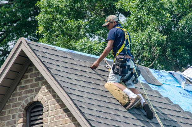 Best Commercial Roofing Services  in Vevay, IN